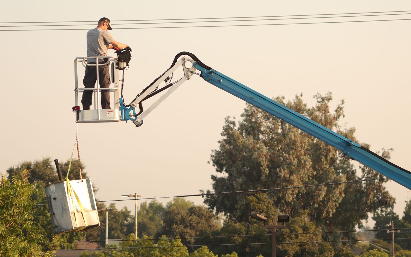 Tree trimming