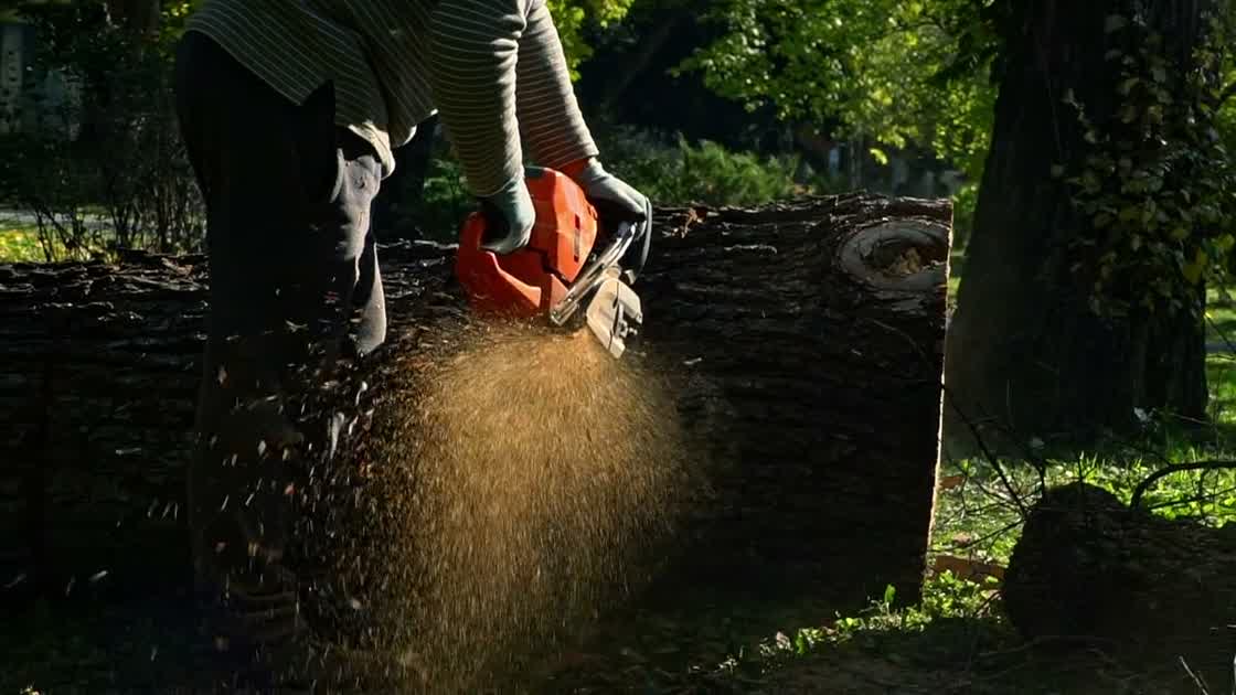 Chainsaw cutting through a log